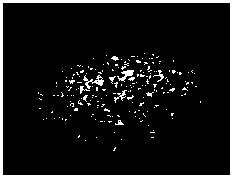 Composite carbon material for seawater desalination and preparation method of composite carbon material