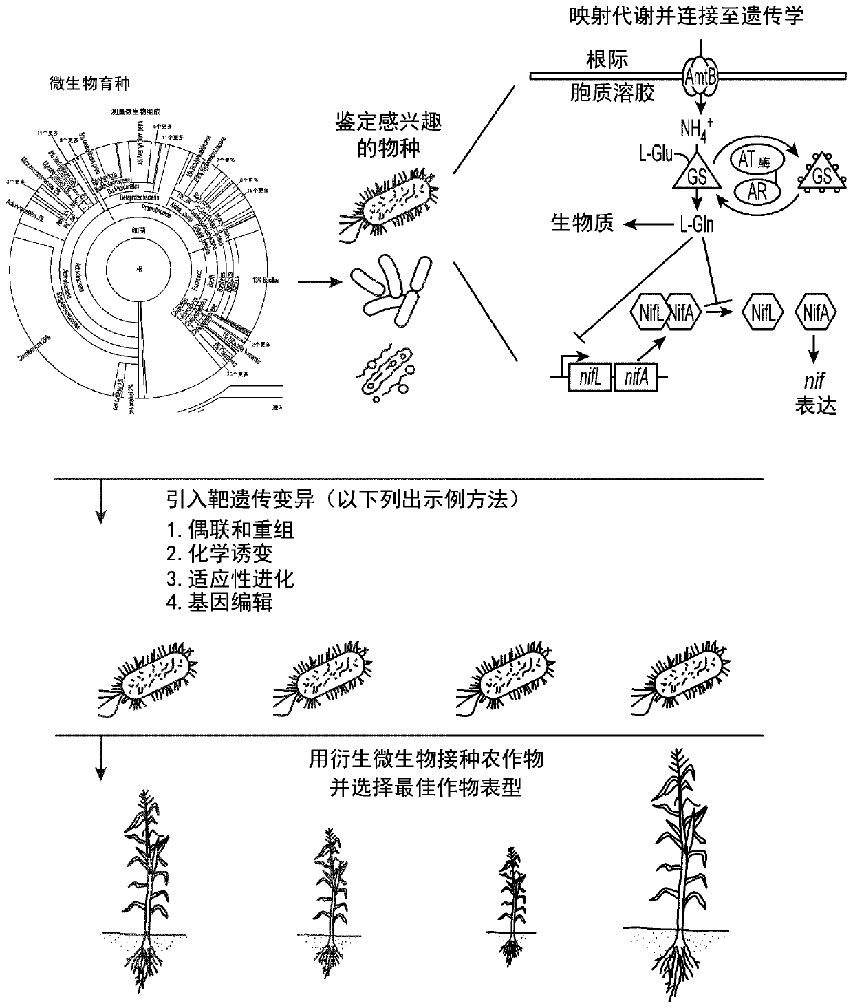 Methods and compositions for improving engineered microbes