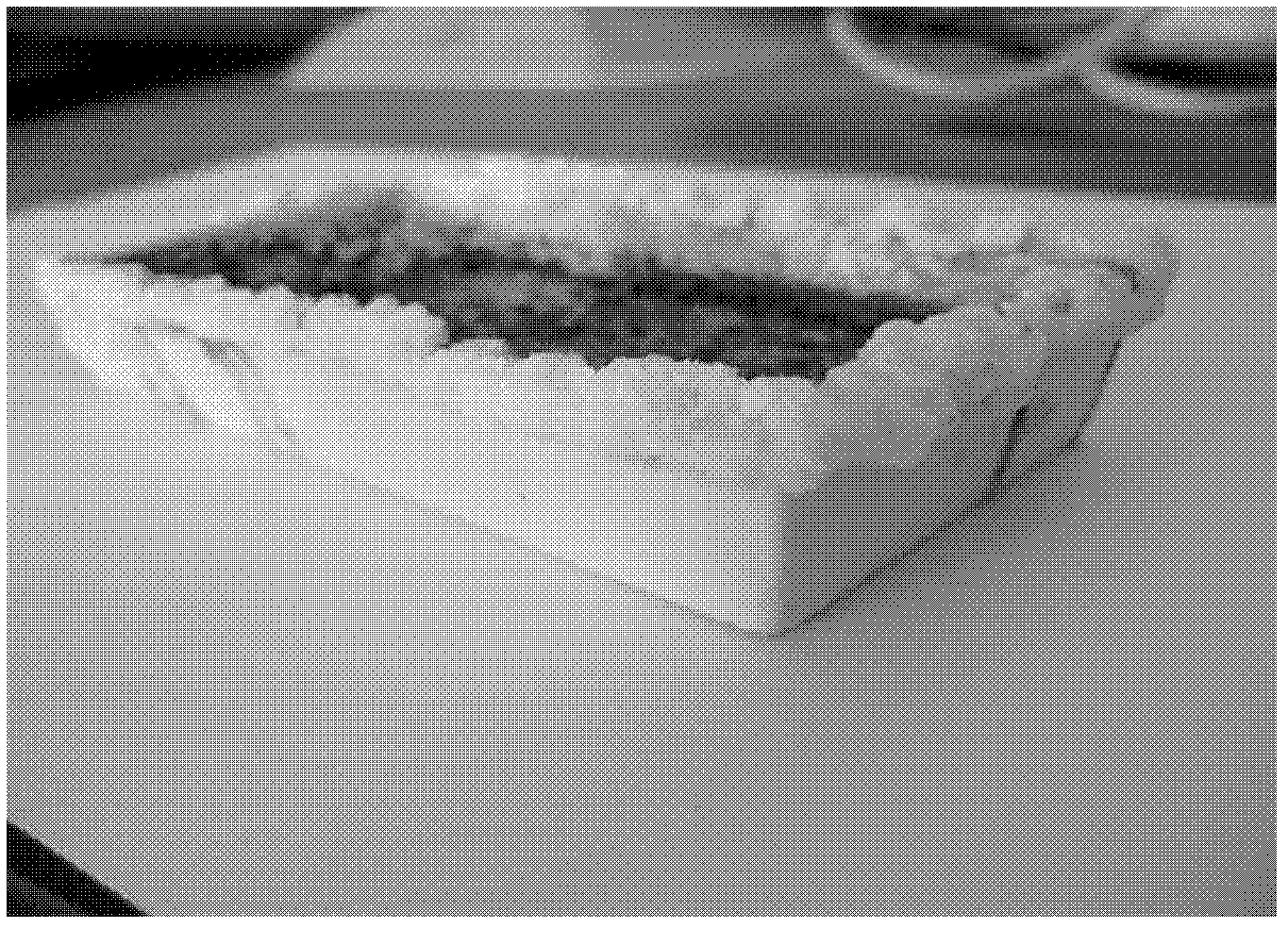 Method for extracting aluminum potassium product from associated alum quarry tailings