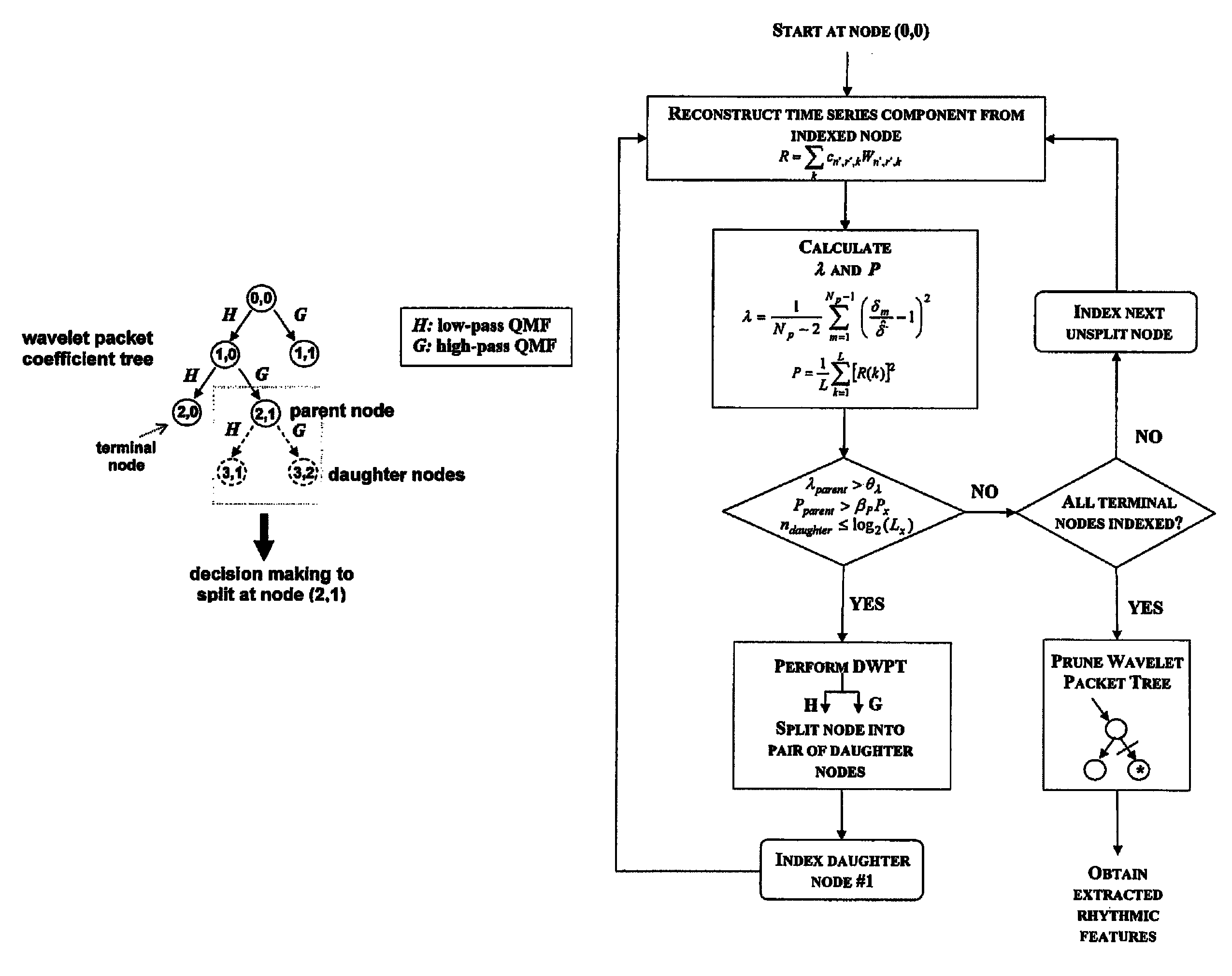 Method and rhythm extractor for detecting and isolating rhythmic signal features from an input signal using the wavelet packet transform