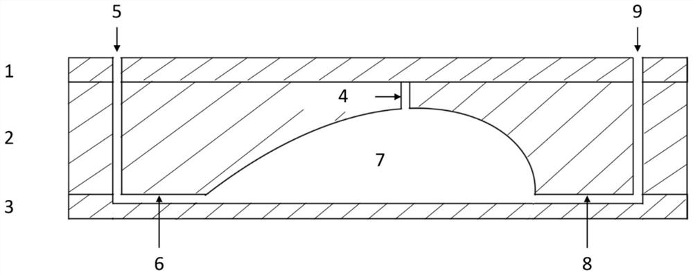 Micro-fluidic cell culture device for simulating filtering bubble and application of micro-fluidic cell culture device