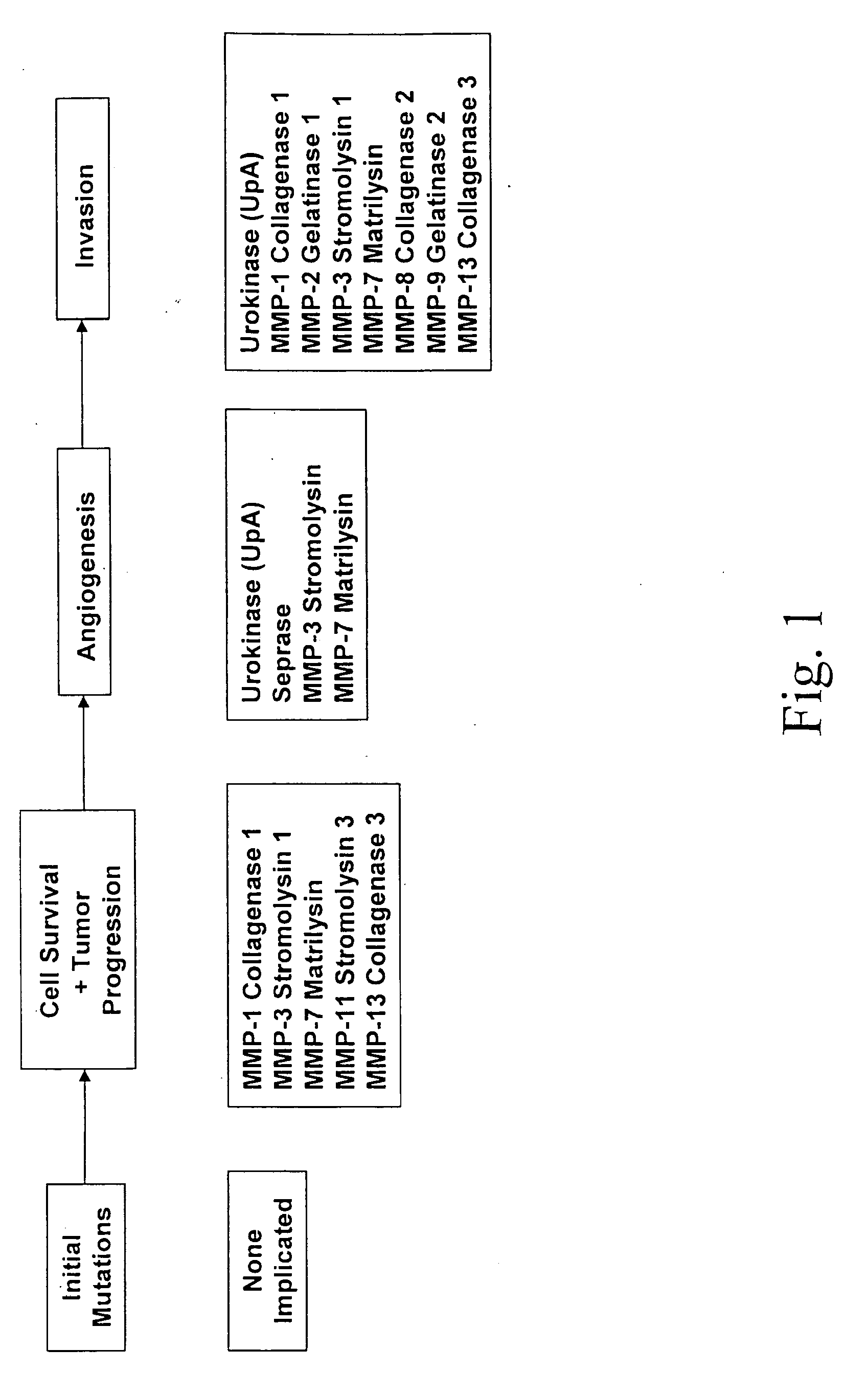 Protease assay