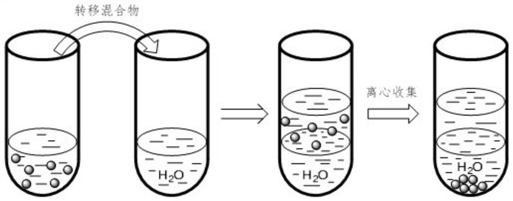 A method for immobilizing small molecule ligands containing secondary and/or tertiary amine groups