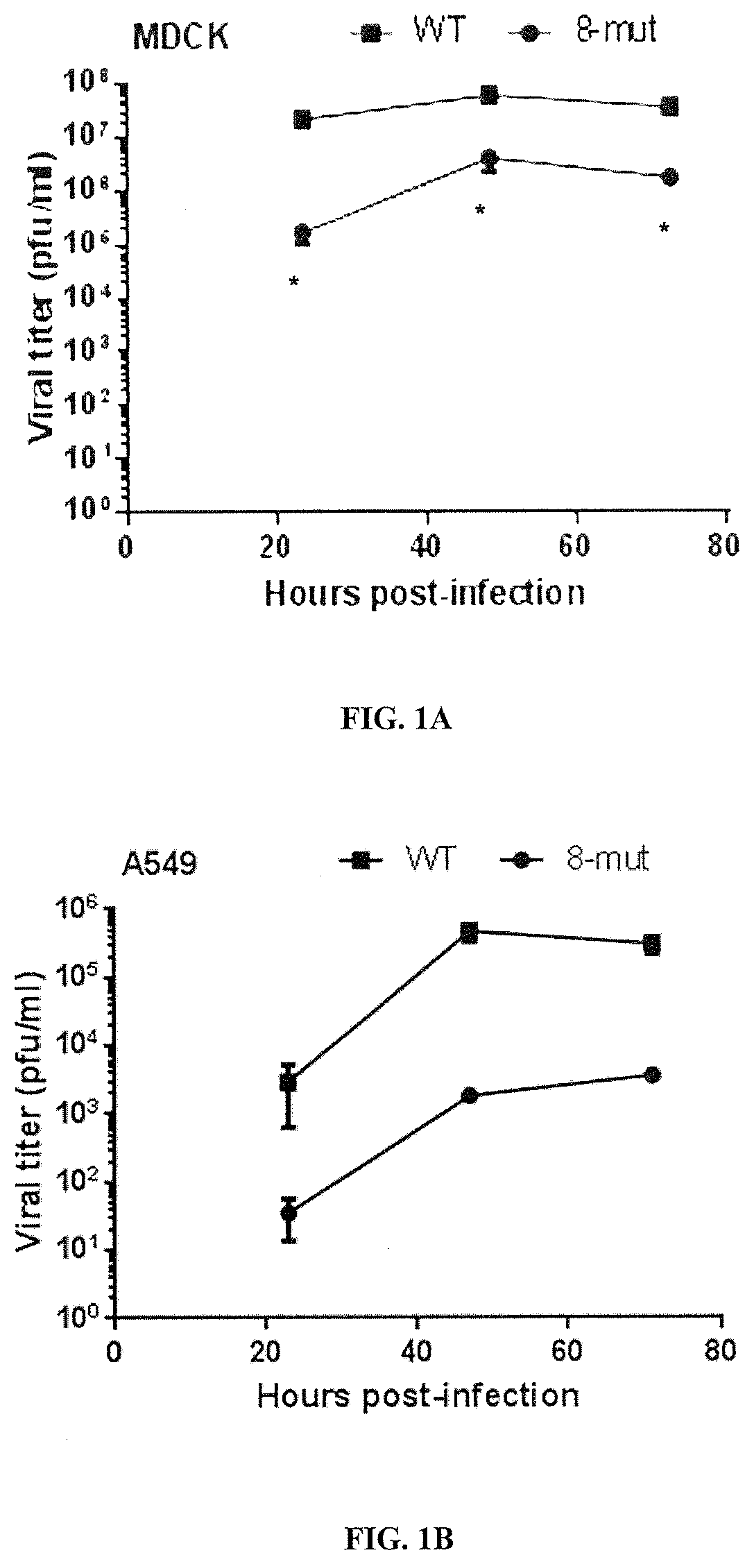 Live-attenuated virus and methods of production and use