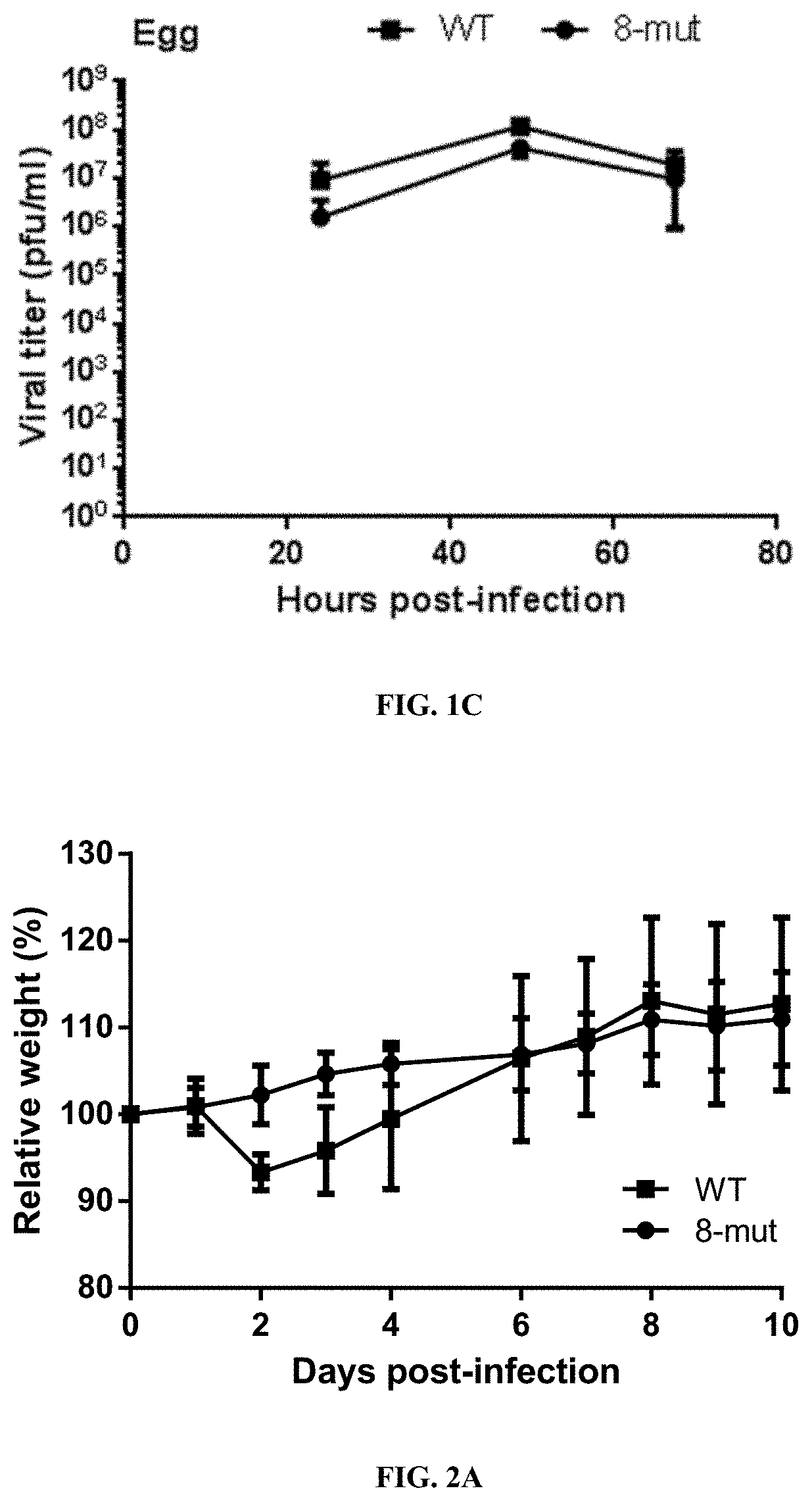 Live-attenuated virus and methods of production and use