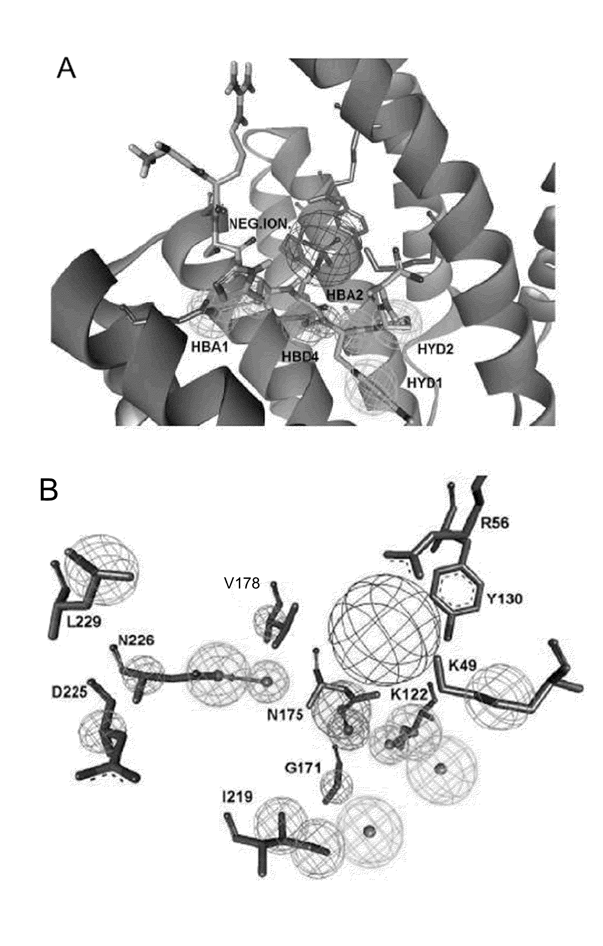 Non peptidic 14-3-3 inhibitors and the use thereof