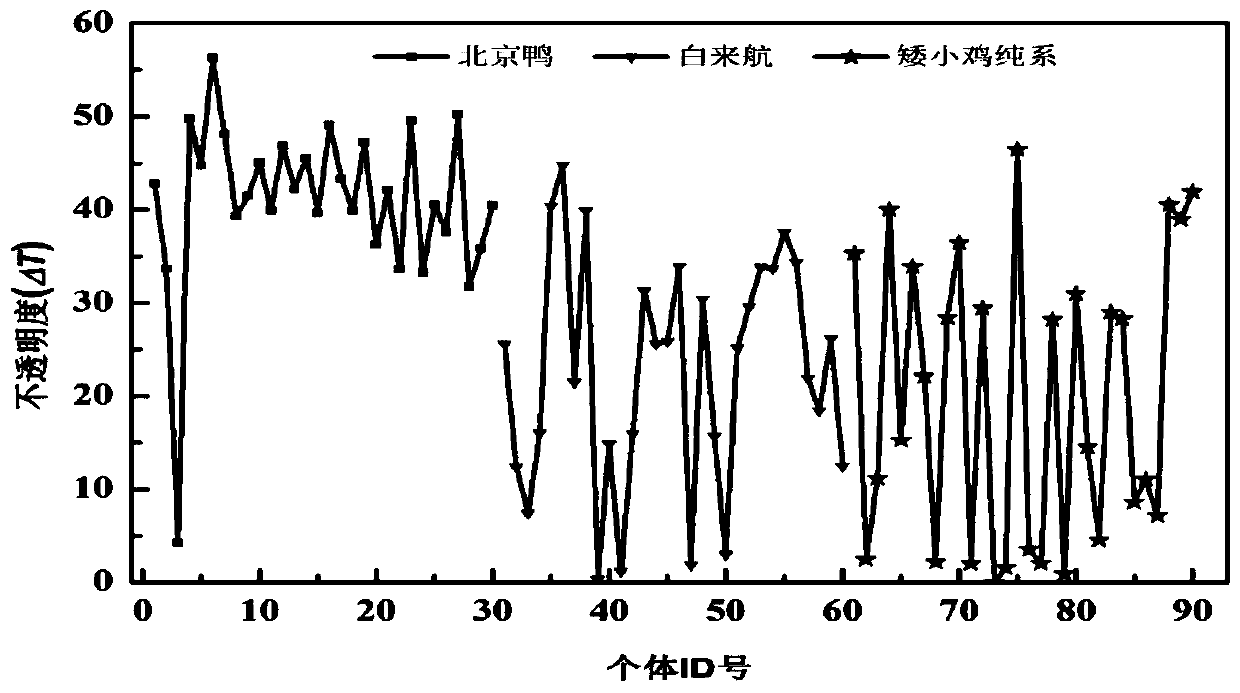 A method for quality evaluation of eggshell rubber protective film with different colors