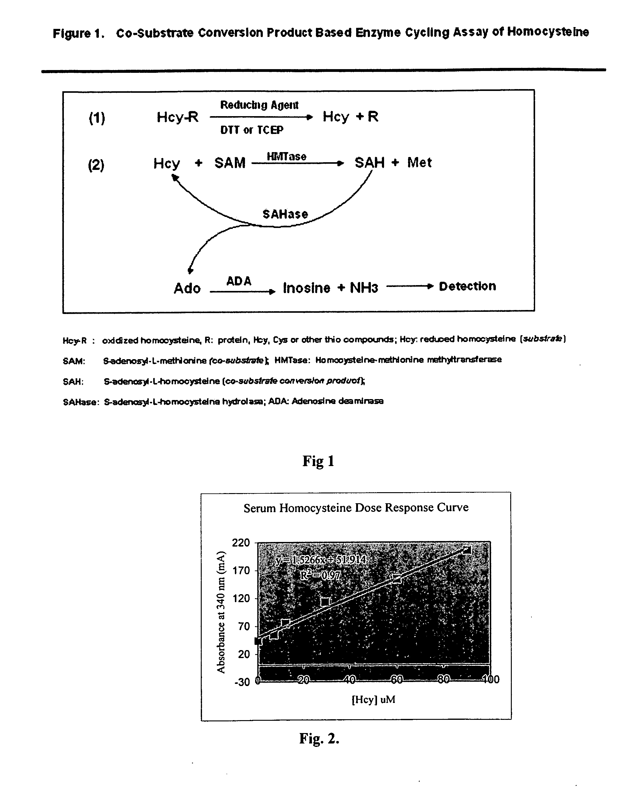 Methods and compositions for assaying homocysteine