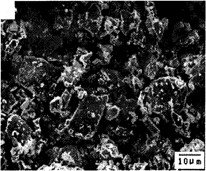 High-performance powder metallurgy material and preparation method thereof