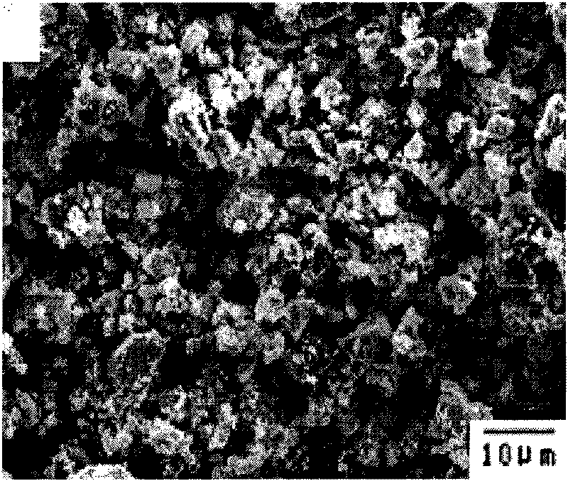 High-performance powder metallurgy material and preparation method thereof