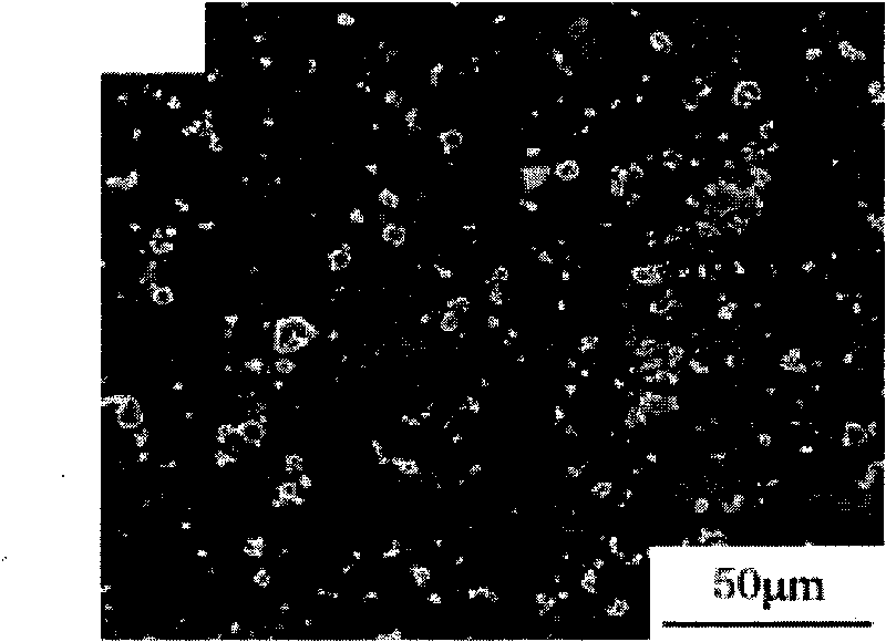 High-performance powder metallurgy material and preparation method thereof