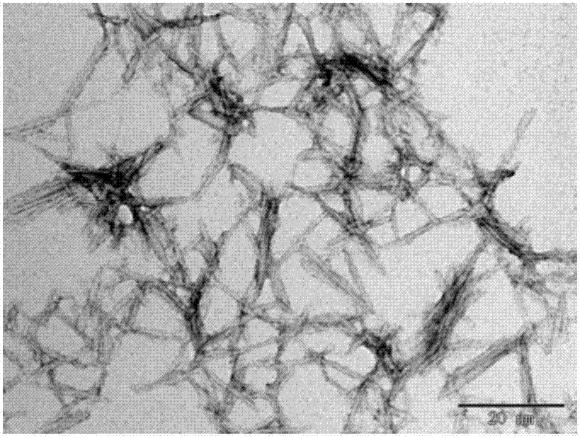 Biomass-based nanoparticle as well as preparation method and application thereof