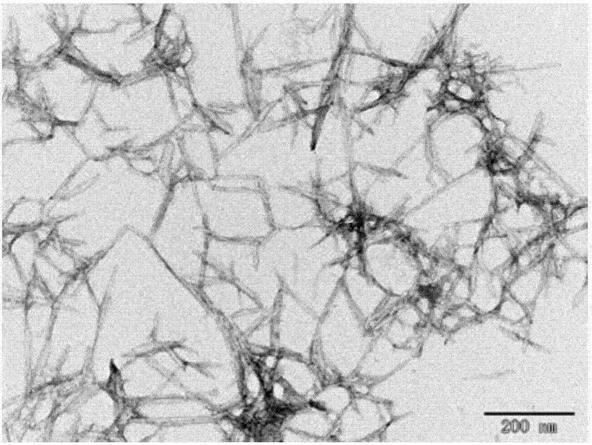 Biomass-based nanoparticle as well as preparation method and application thereof