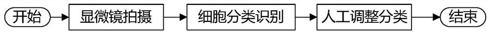 Cell classification rule determination method of film reading machine, cell classification method and film reading machine