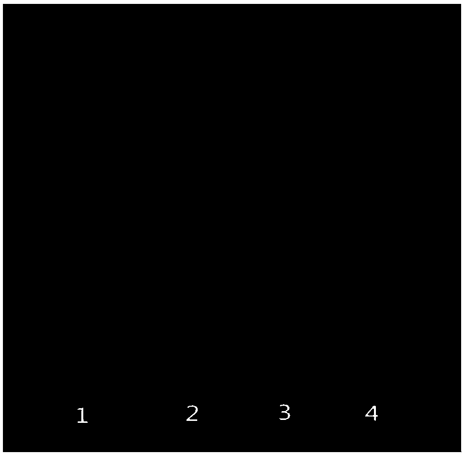 Detecting method for creeping oxalis