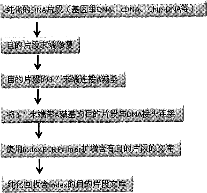 Tag library constructing method based on DNA (deoxyribonucleic acid) adapter connection as well as used tag and tag adapter