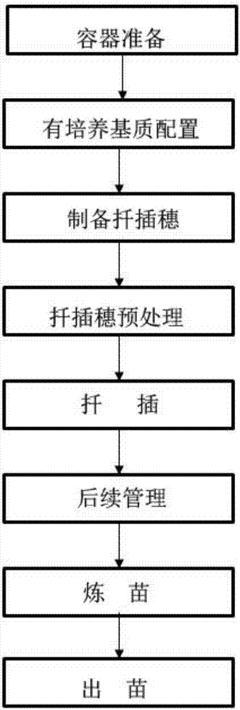 Cutting seedling raising culture method