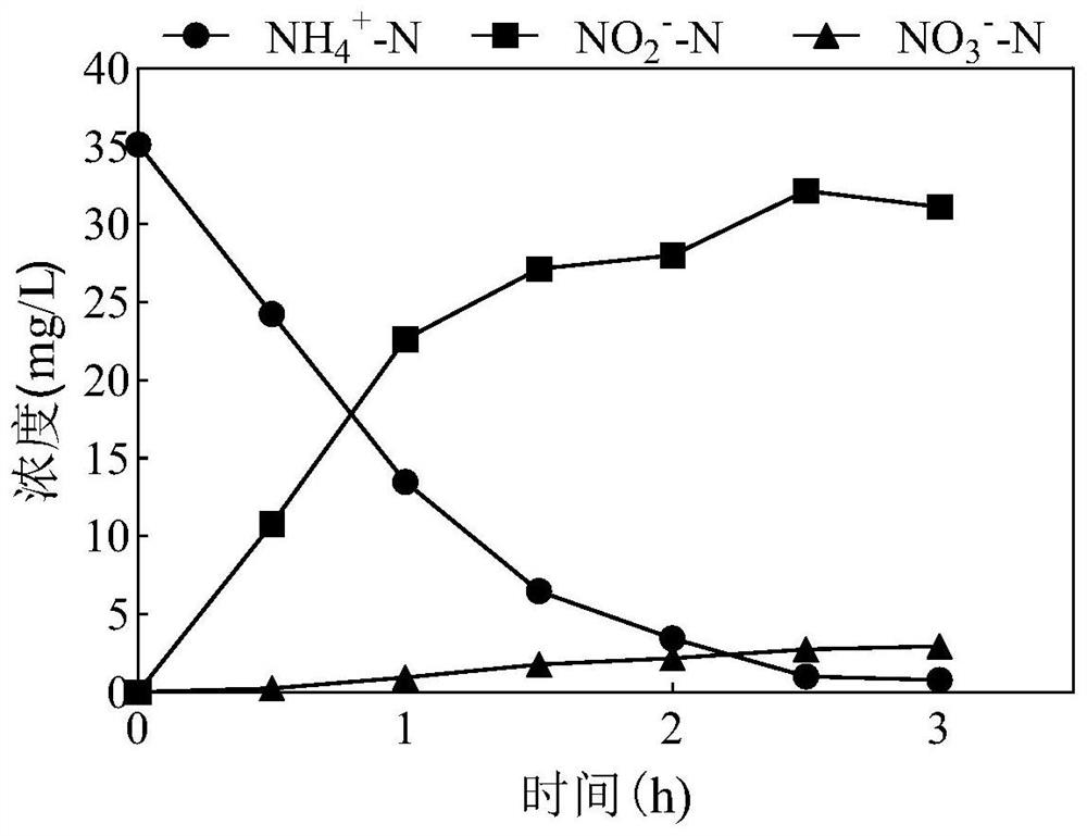 Method for stably providing substrate for anaerobic ammonia oxidation by using bacteriostatic agent