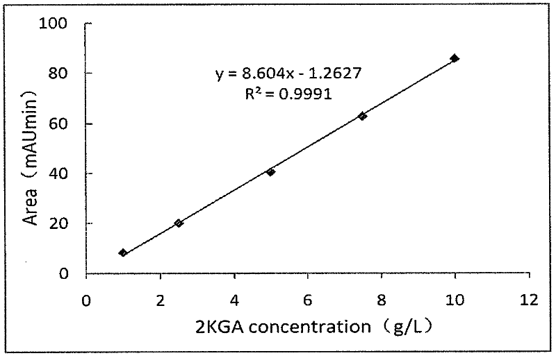 Screening method for 2-keto-D-gluconic acid high-yield bacterial strain, and fermentation method of such bacterial strain