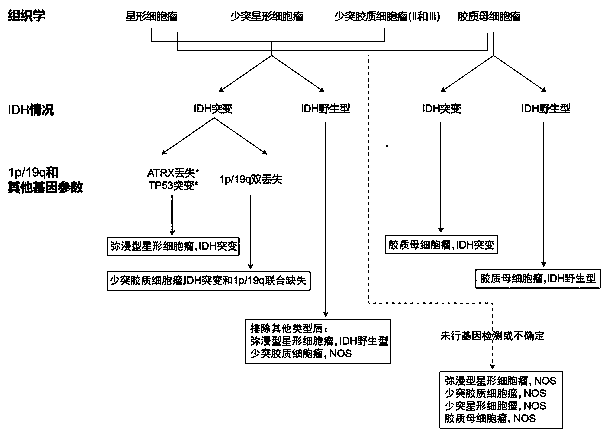 Detection method and kit for detecting 1p/19q combination loss of heterozygosity of chromosome