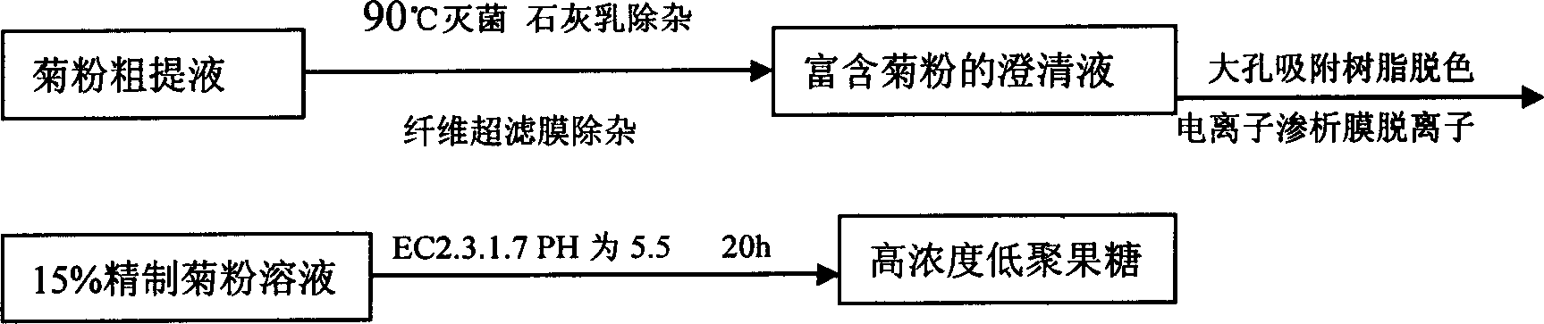 Technique for producing fruit sugar by using chicory to carry out hydrolysis