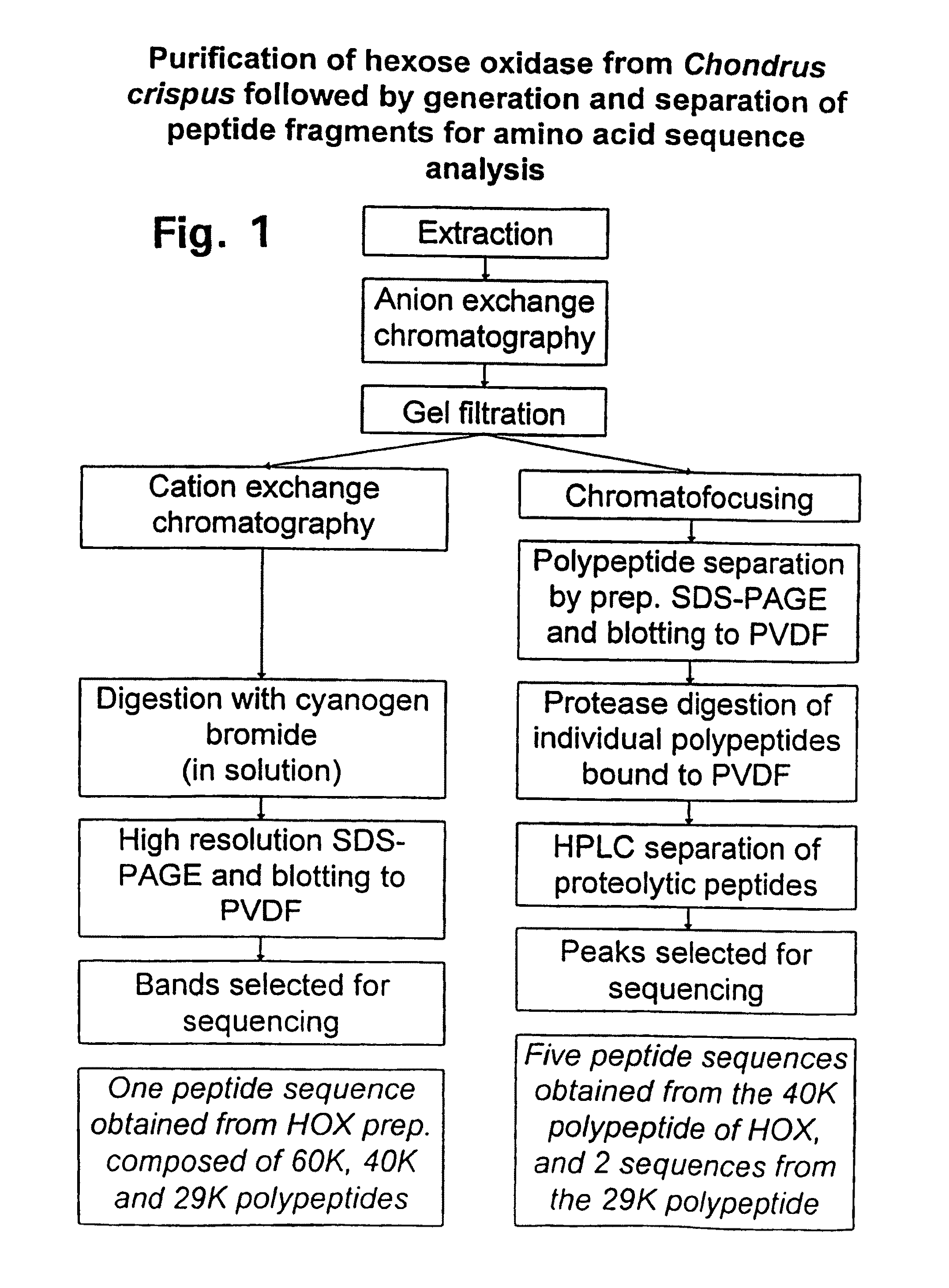 Hexose oxidase-encoding DNAs and methods of use thereof