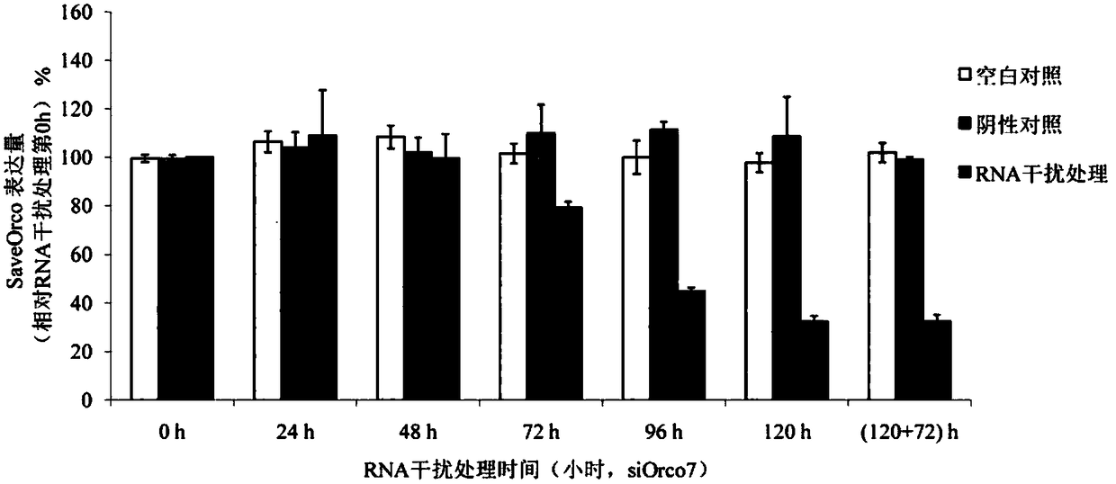 siRNA designed based on the olfactory receptor SaveOrco gene of the wheat aphid sitobion avenae and its application