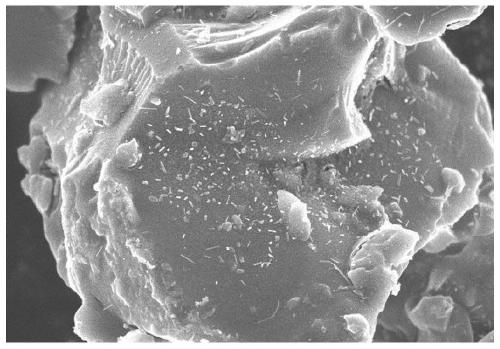 Anode active material for battery and preparation method thereof