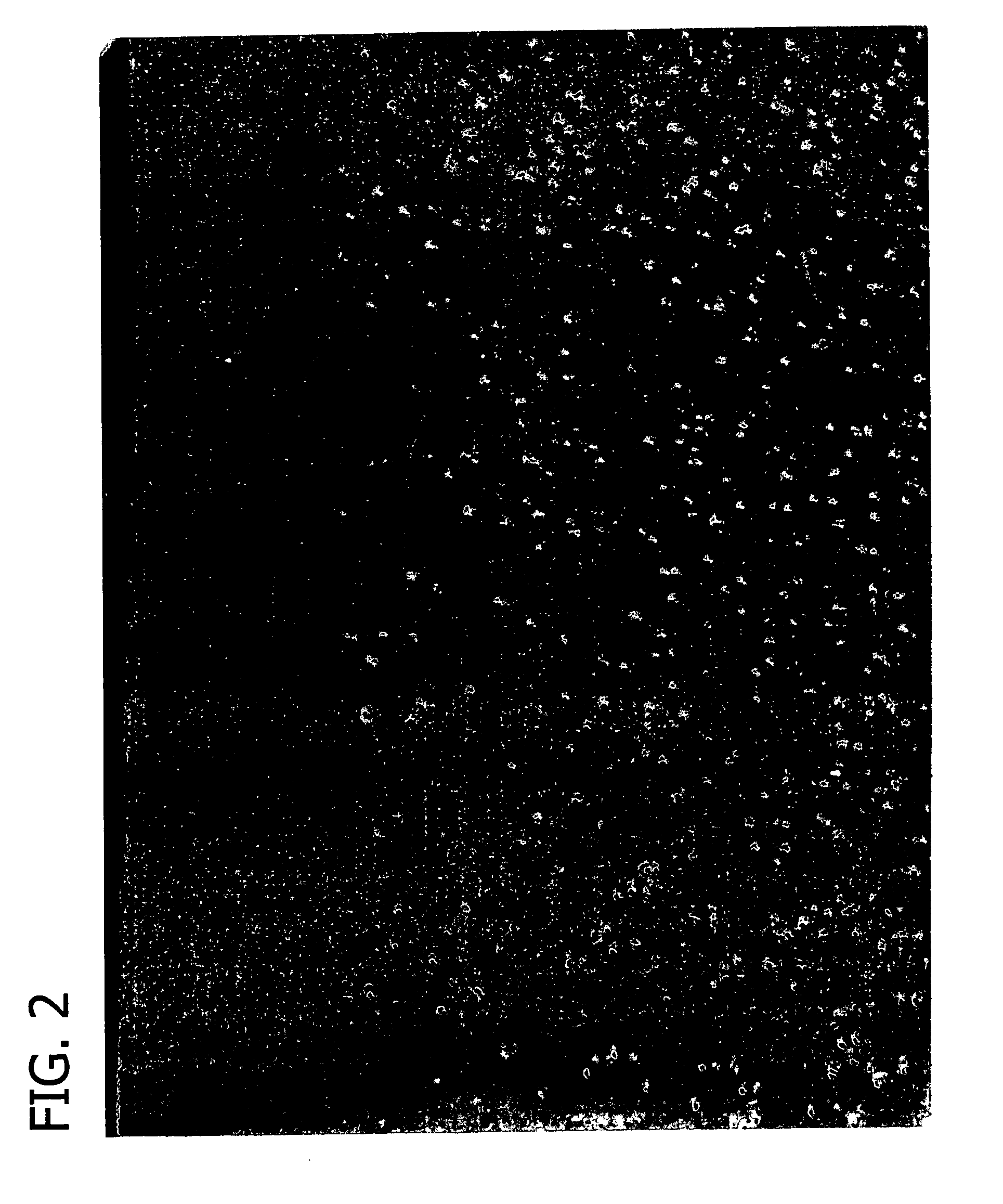 Process for implementing oxygen into a silicon wafer having a region which is free of agglomerated intrinsic point defects