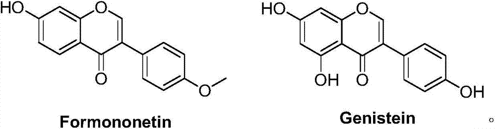 A kind of botanical insecticide for preventing and treating corn weevil and its preparation process