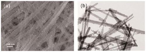 Strip-shaped PbSe/ZnSe heterojunction nanomaterial, and preparation method and application thereof