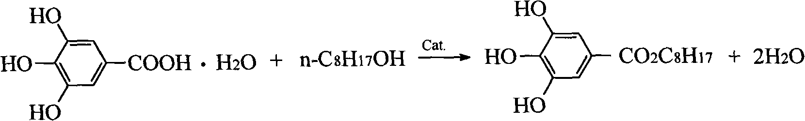 Overdosed esterification production technology for n-octyl gallate