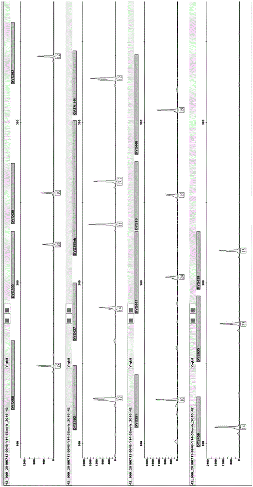 Method and system for Y-STR typing of individual man