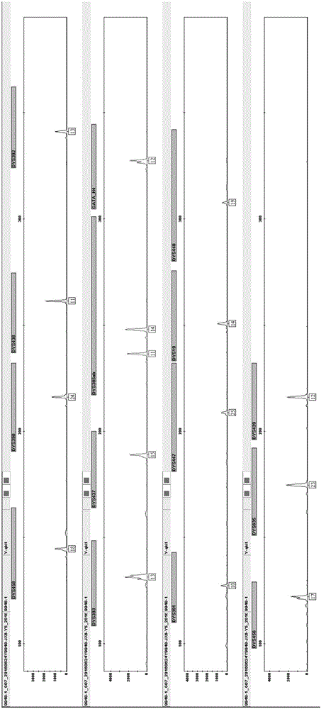 Method and system for Y-STR typing of individual man