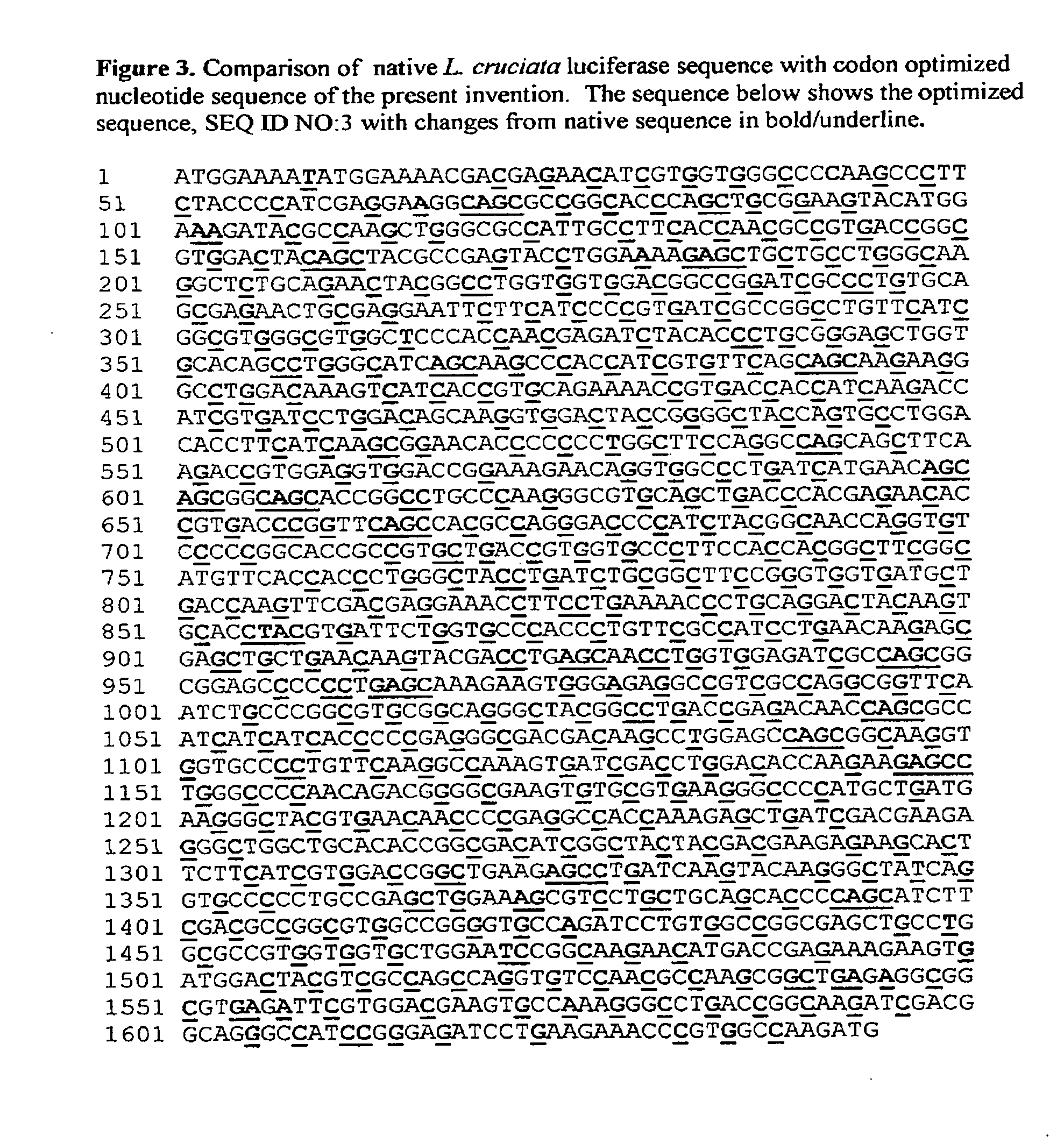 Modified luciola cruciata luciferase gene and protein