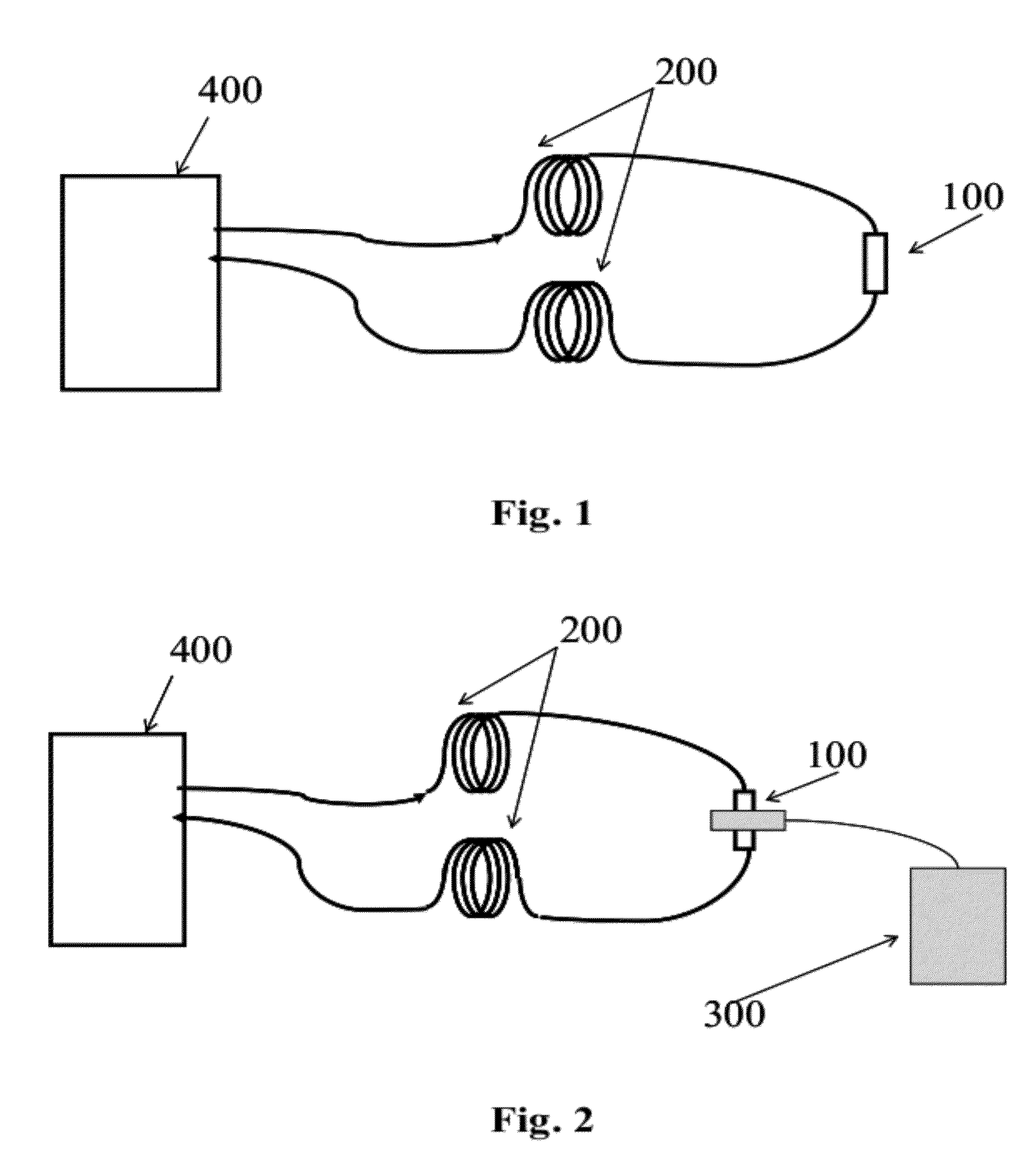 System and method for fiber magneto-optic detection