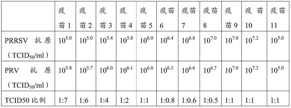 Porcine reproductive and respiratory syndrome, porcine pseudorabies dual live vaccine and its preparation method and application