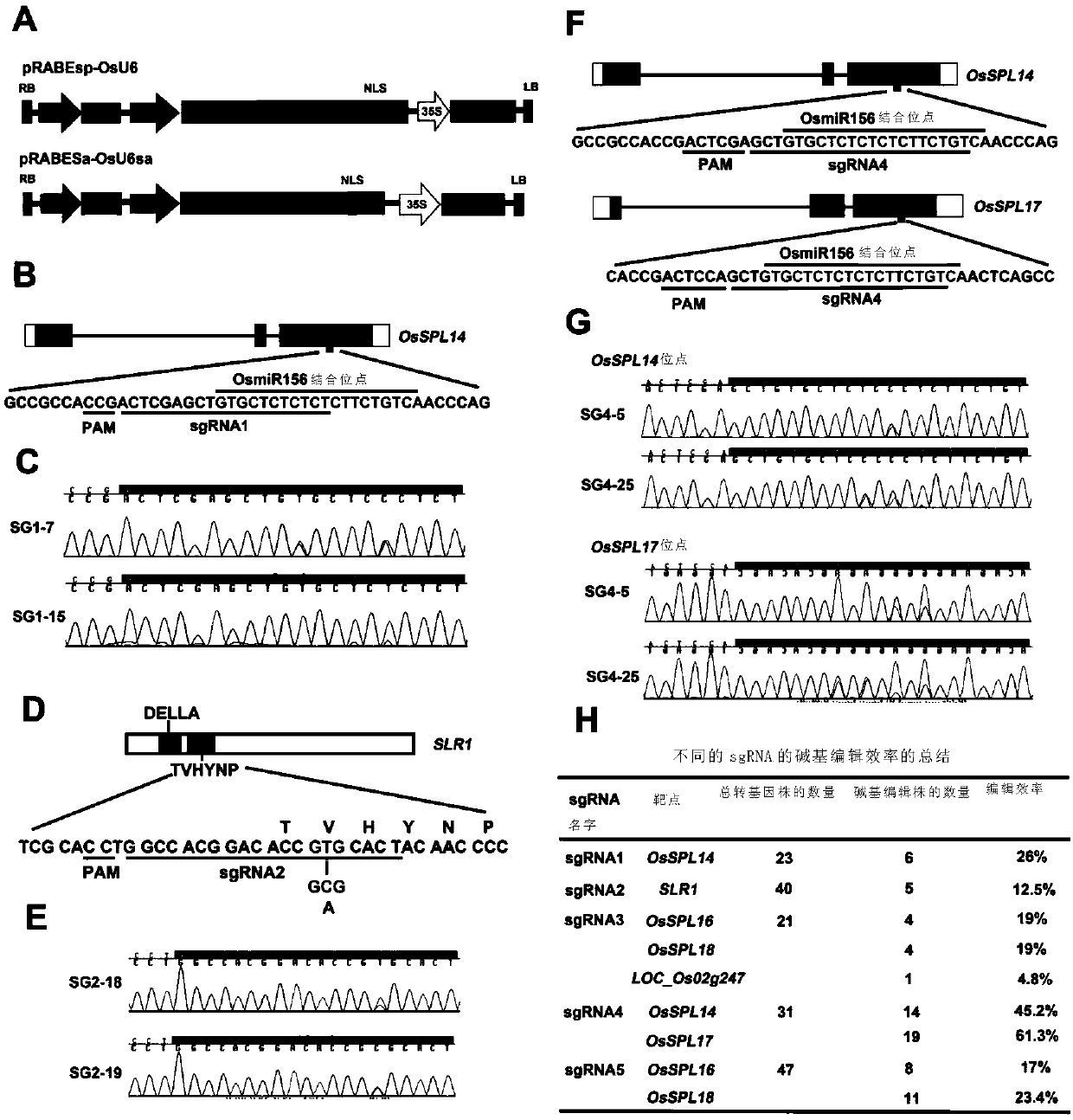 Method for site-directed replacement of plant genome