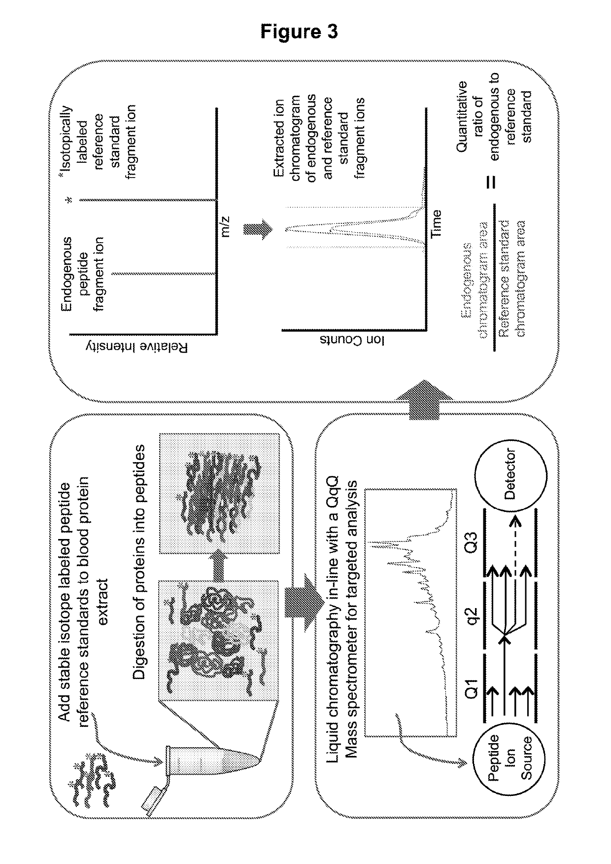 Methods for Detection, Staging, and Surveillance of Colorectal Adenomas and Carcinomas