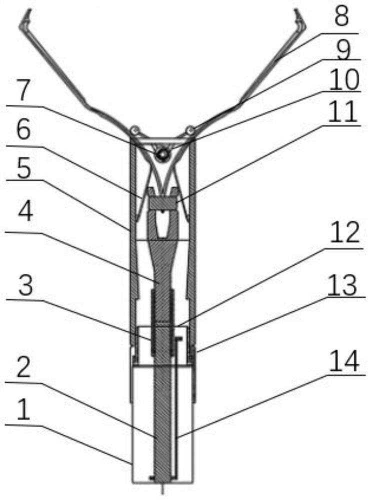 Hemostatic clamp opened by spring force and provided with degradation structure