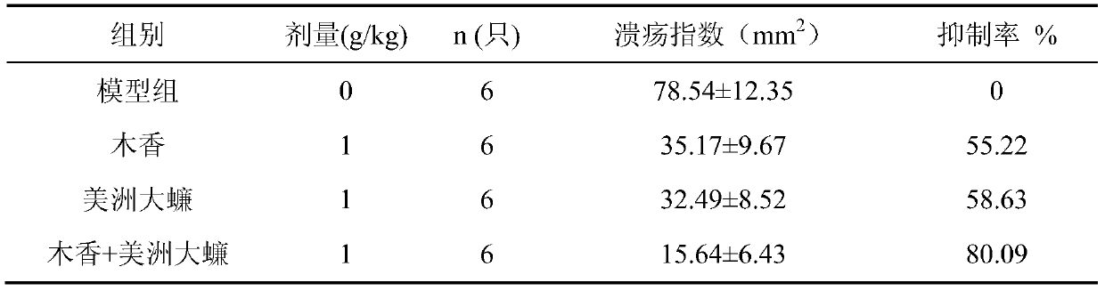 Periplaneta woody composition and its application