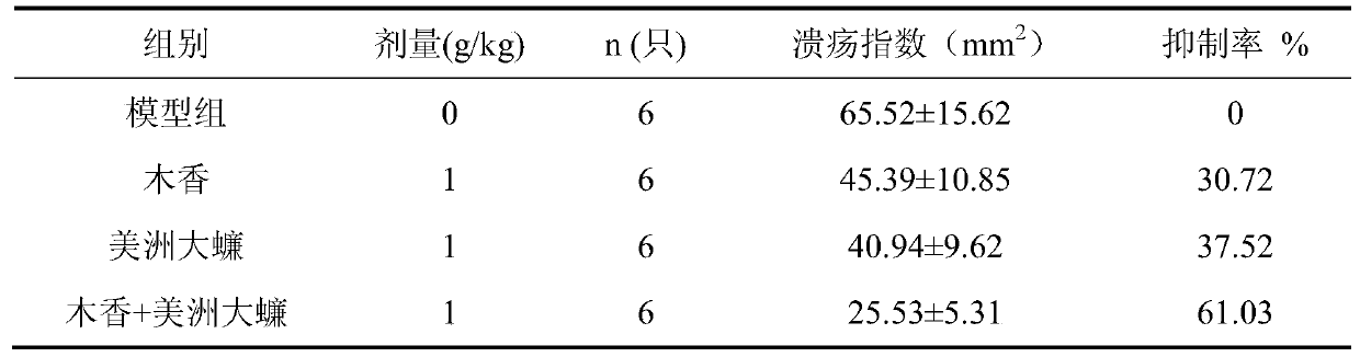 Periplaneta woody composition and its application