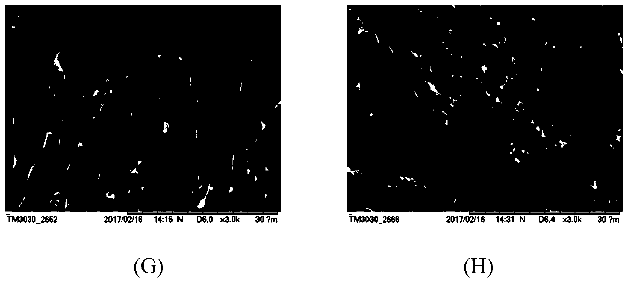 Preparation method of polylactic acid/polyadipate-butylene terephthalate blend