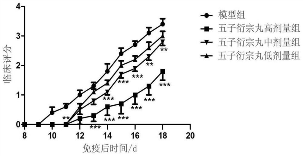 Uses of Wuzi Yanzong Pills