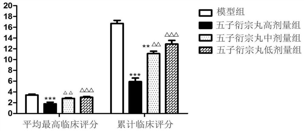 Uses of Wuzi Yanzong Pills