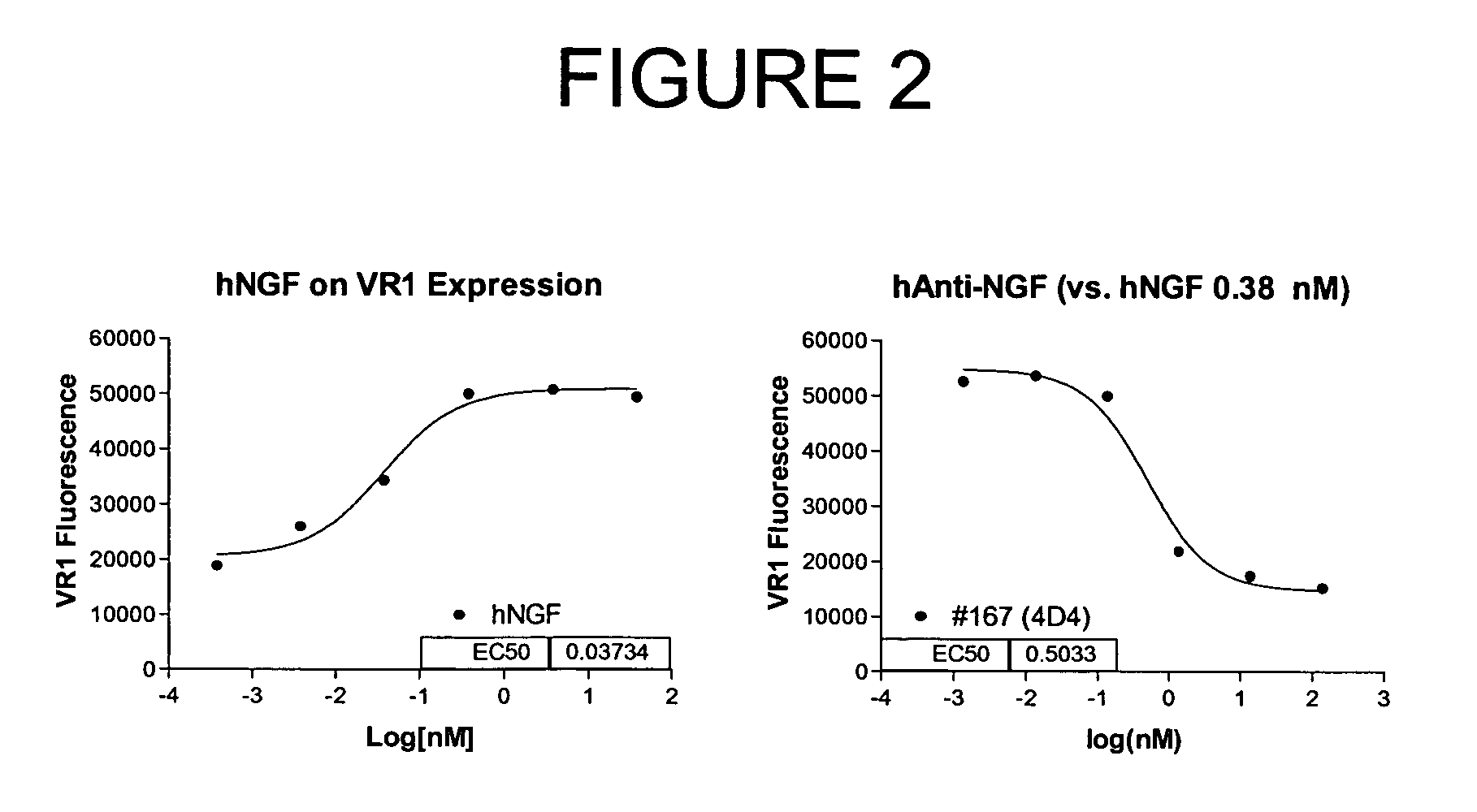 Human anti-NGF neutralizing antibodies as selective NGF pathway inhibitors