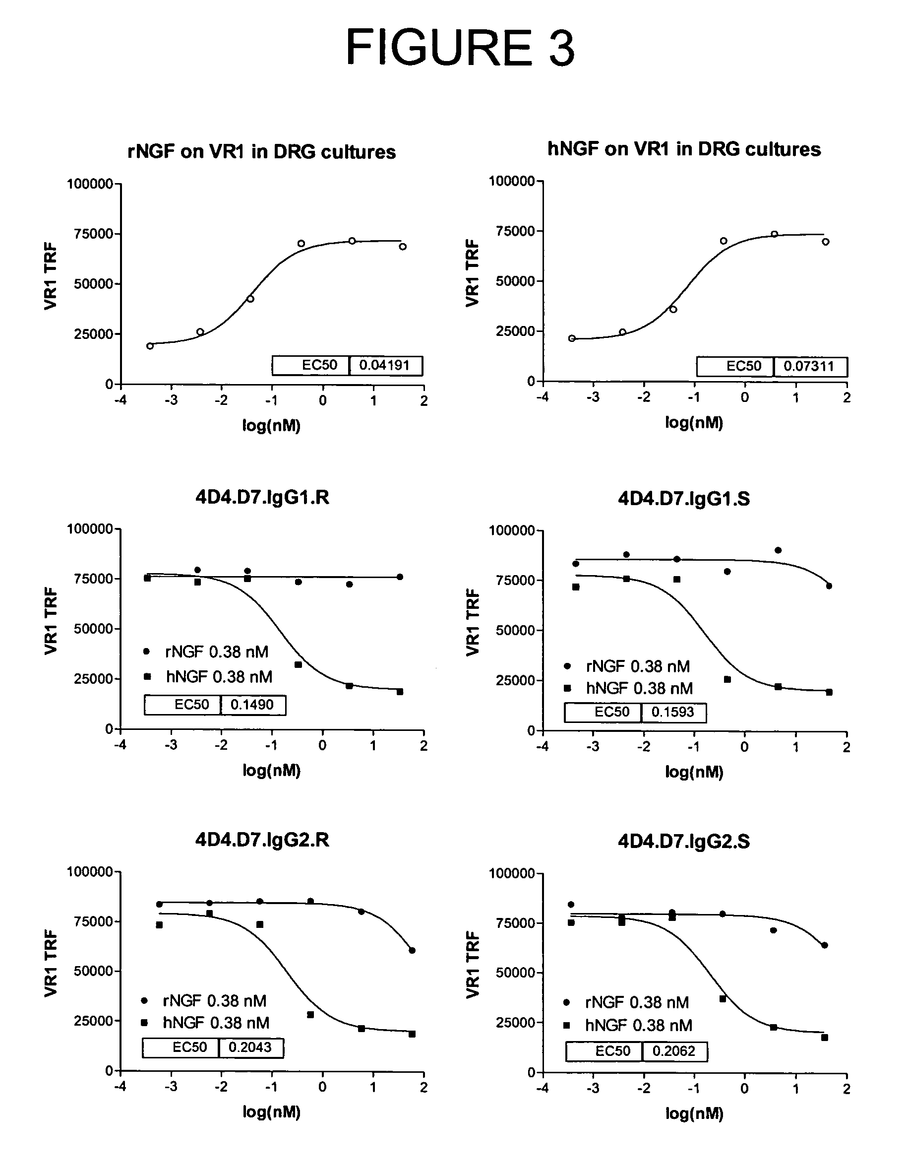 Human anti-NGF neutralizing antibodies as selective NGF pathway inhibitors