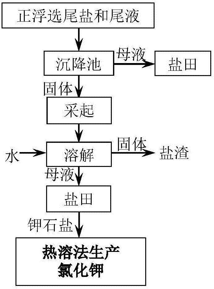 Method for producing carnallite from flotation tailing salt