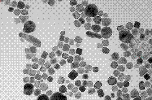 A method for the detection of microcystin-lr with palladium-gold alloy nano-cage immunochromatographic test strips