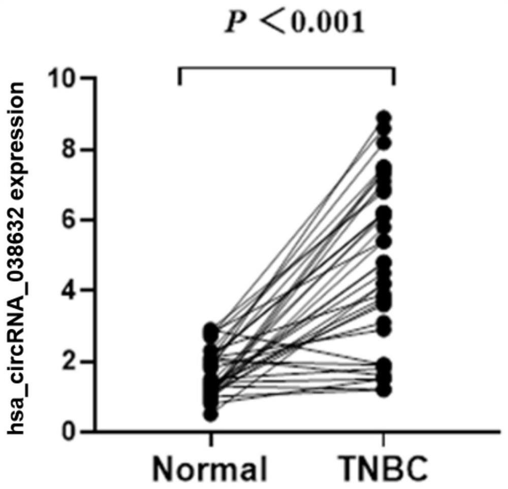 A circular RNA detection kit predicts responsiveness to neoadjuvant chemotherapy in triple-negative breast cancer